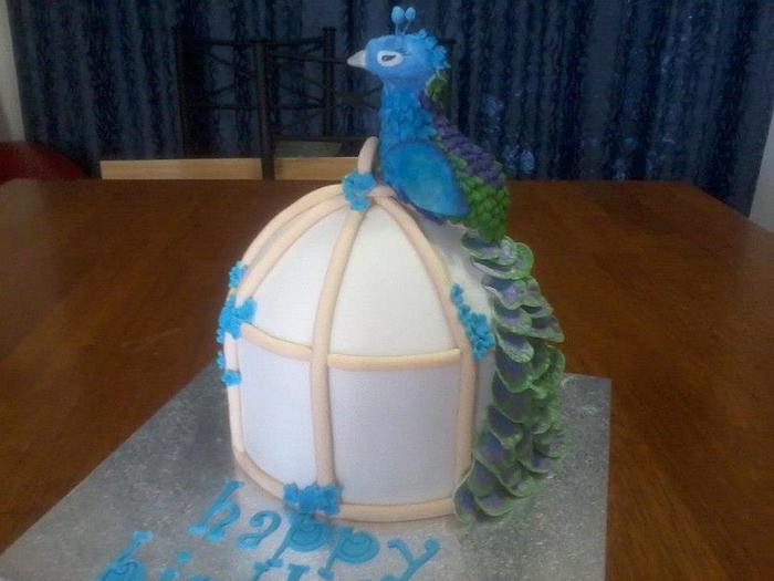 Peacock Birthday