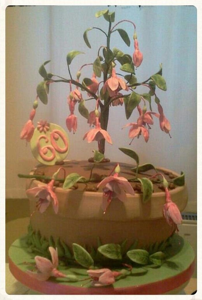 Fuchsia pot birthday cake