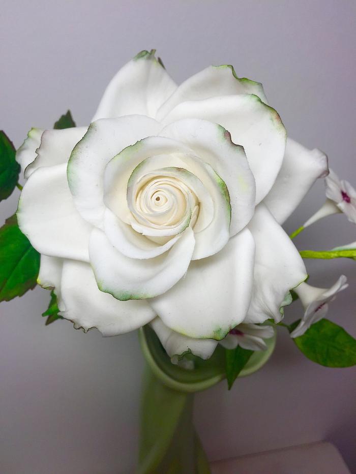 Rose with jasmine - Decorated Cake by Andrea - CakesDecor