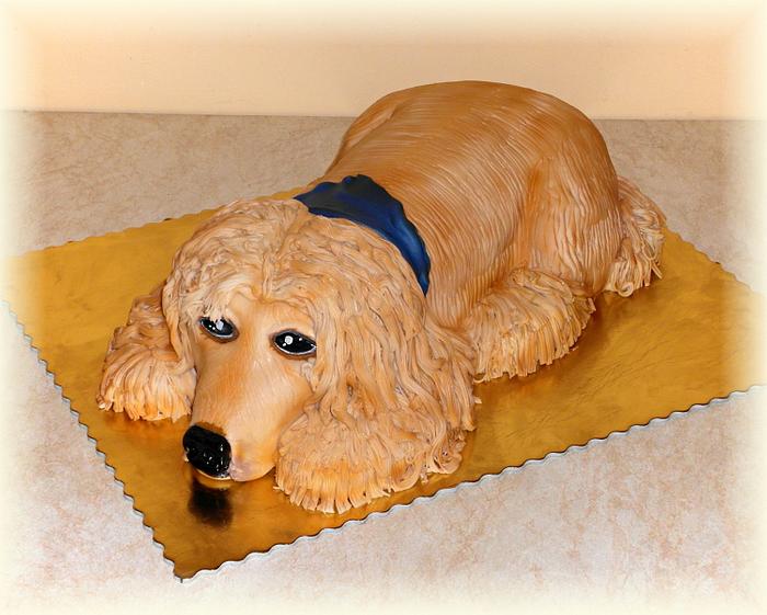 Dog cake