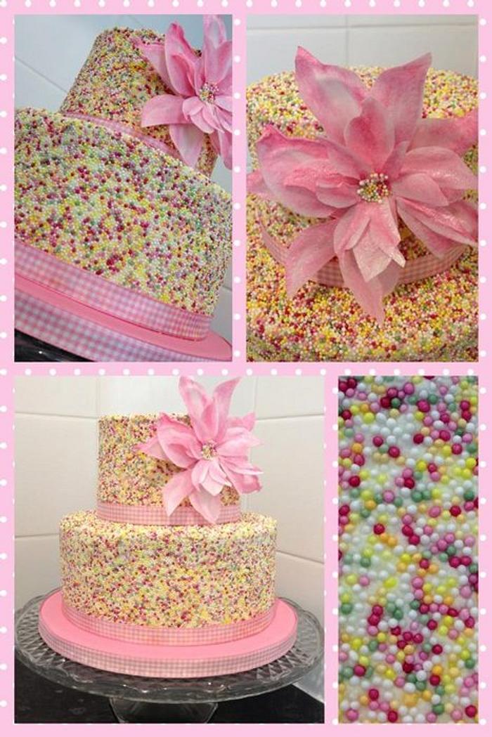 Paper and Sprinkles