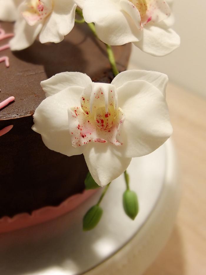 Orchid moth - birthday cake