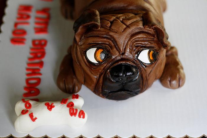 3d PUG dog Cake