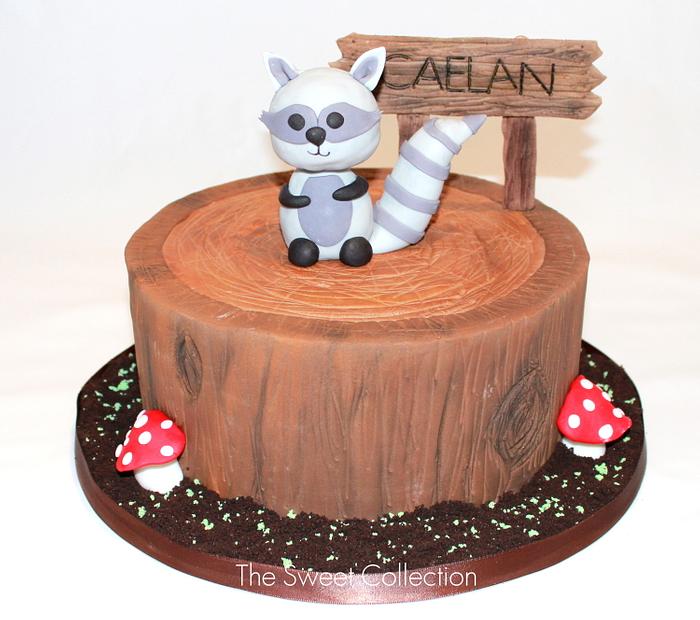 Woodland Raccoon Cake