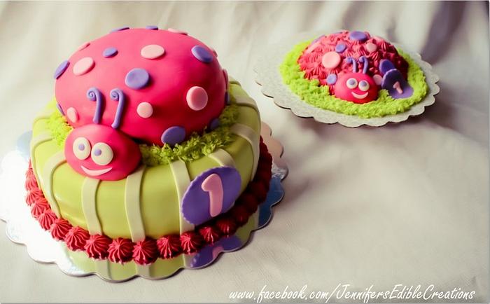 Ladybug First Birthday with Baby Smash Cake