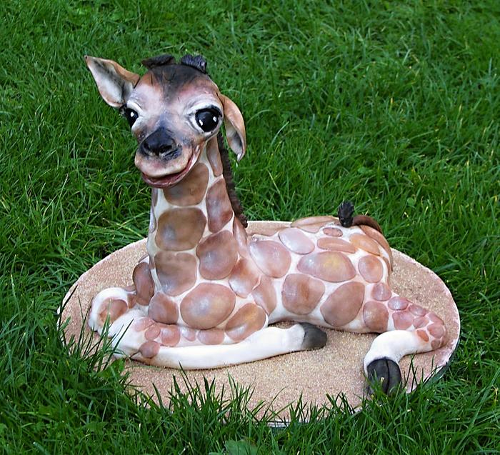 baby giraffe 
