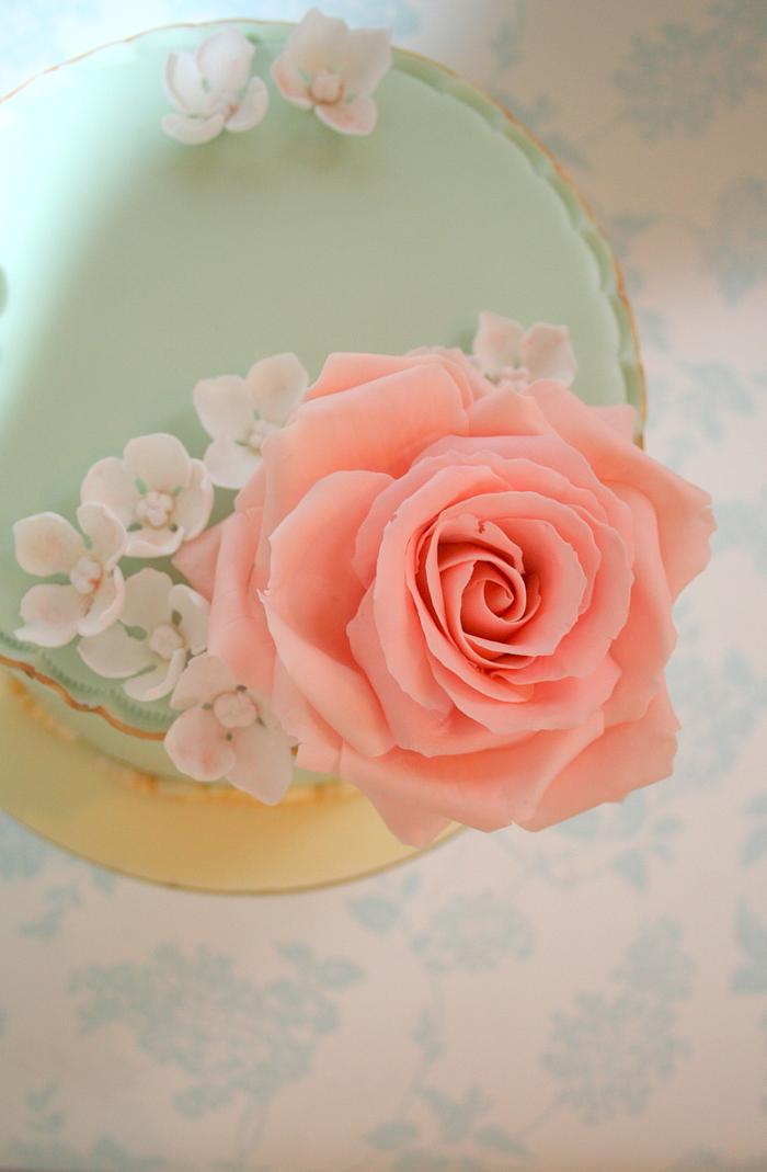 Pink rose MacMillan cake