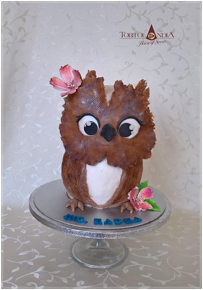 Sweet owl cake
