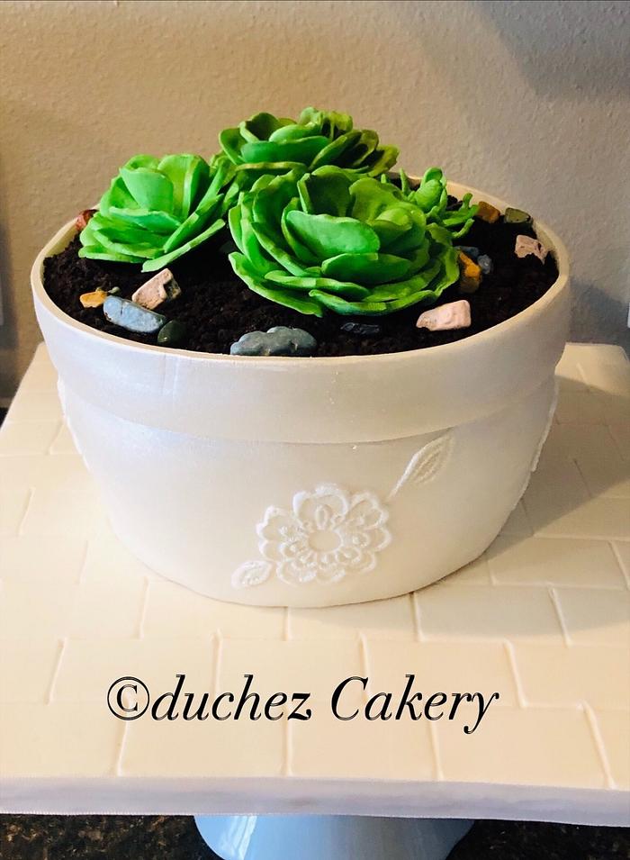 Flower pot cake with succulent sugar flowers 