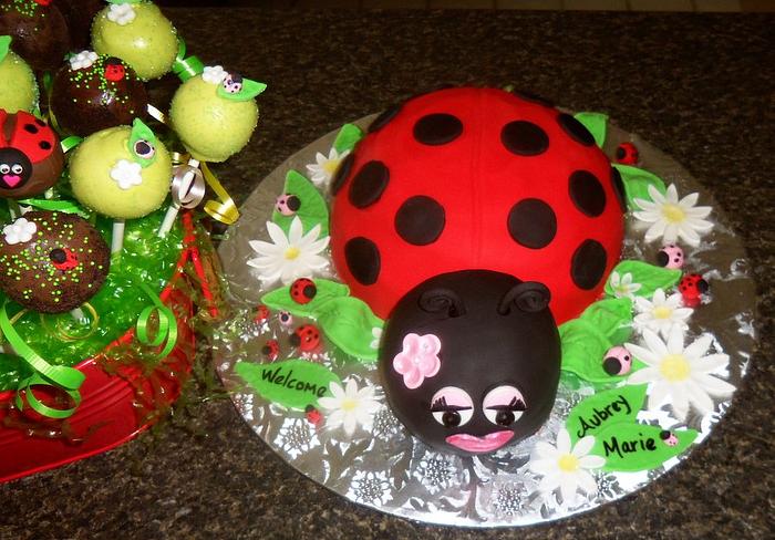 Ladybug baby shower cake & cake pops