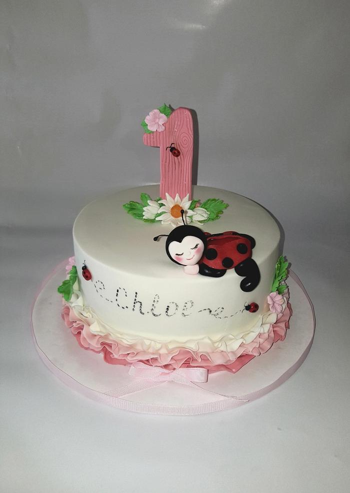 1st Birthday cake 