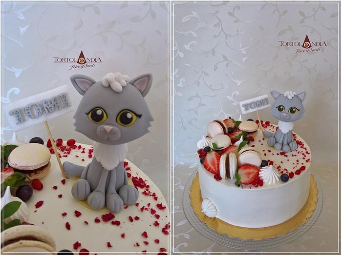 Drip cake with sweet cat