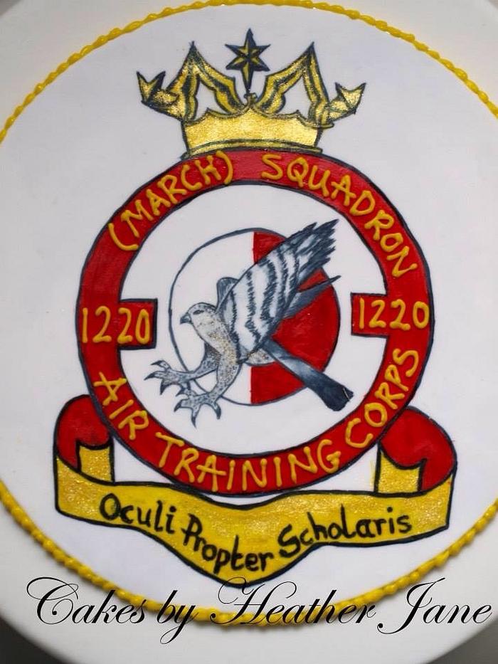 Handpainted Air Cadets RAF squadron cake