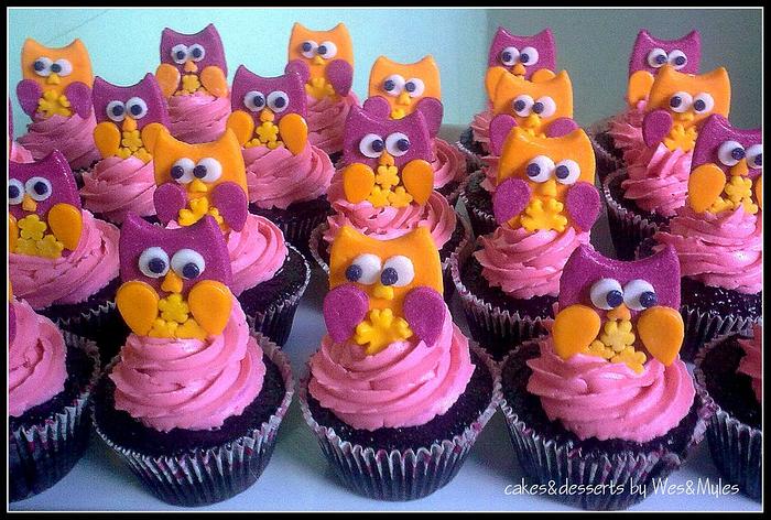 Owly-owlies!