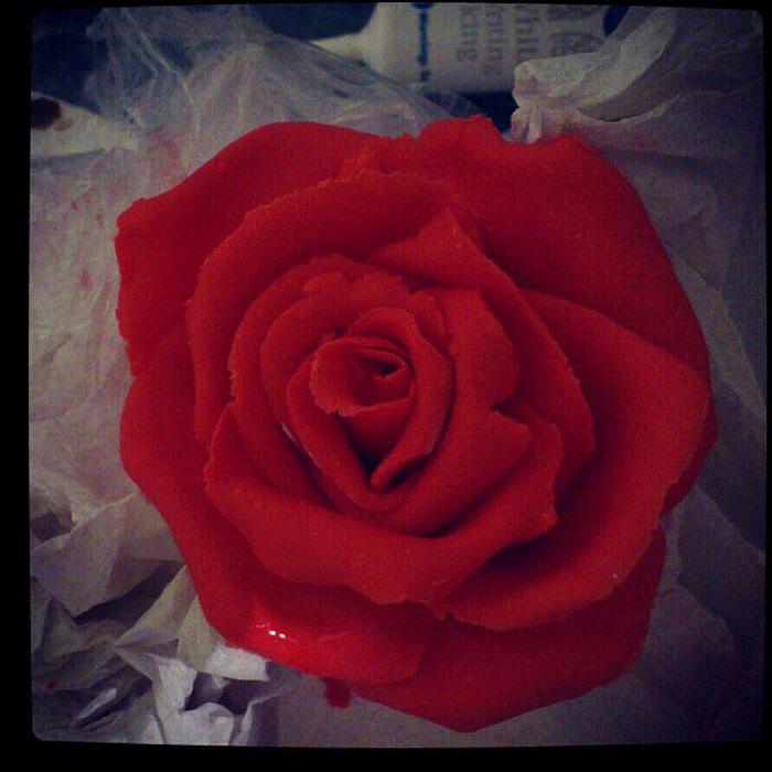 practicing roses :)