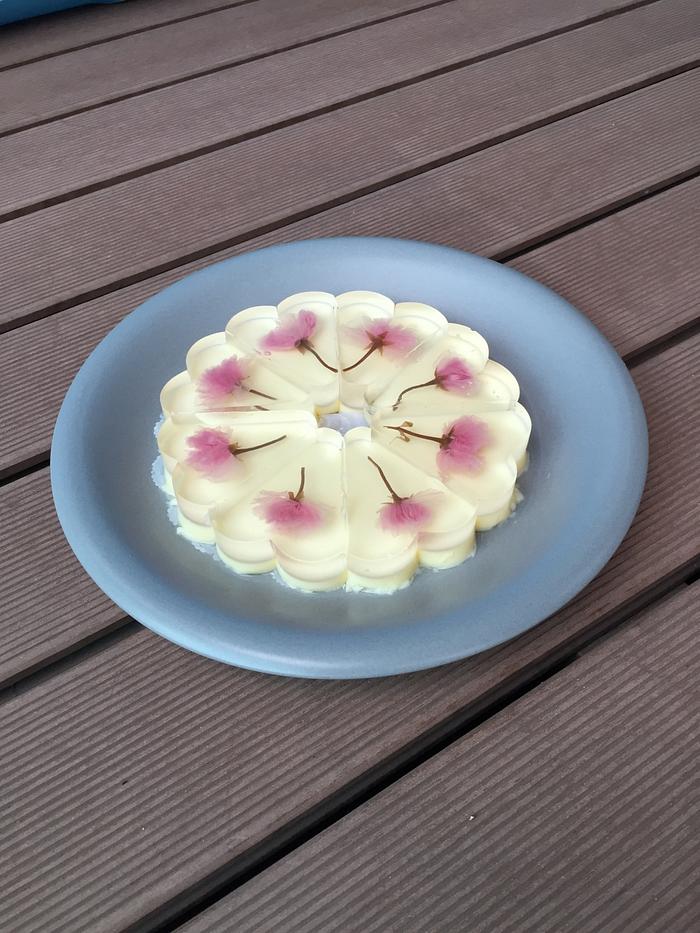 Sakura jelly pudding cake