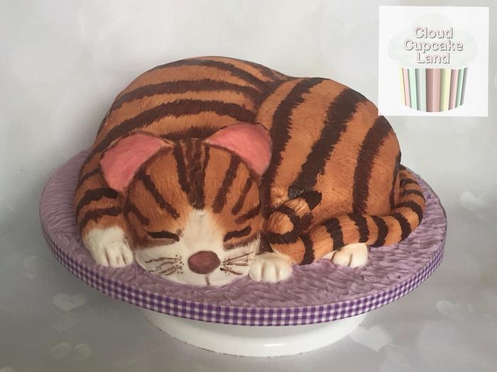 Sleepy Cat Cake