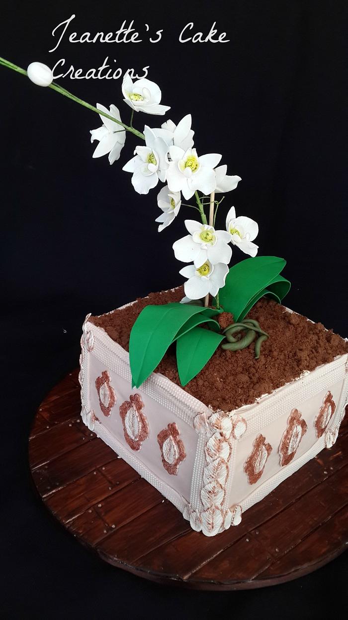 Sugar orchid cake