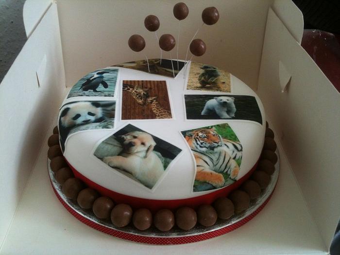Animal  and malteser chocolate cake