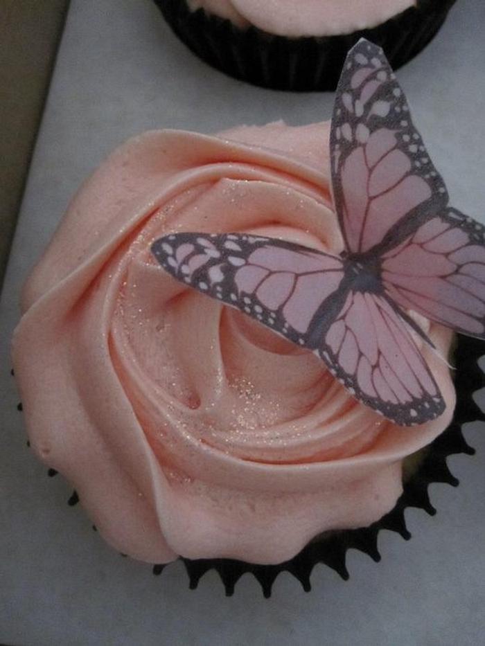 Cupcakes with edible butterfly