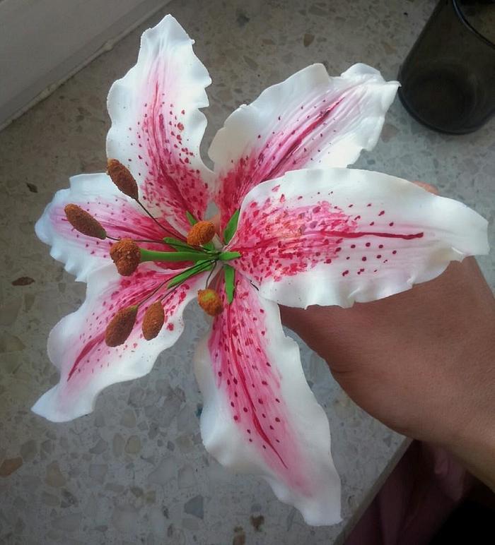 Flower paste renshaw - my first lilly