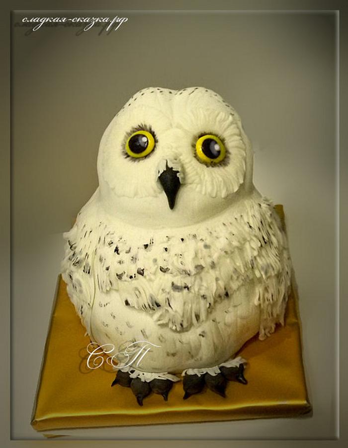 cake "Owl"