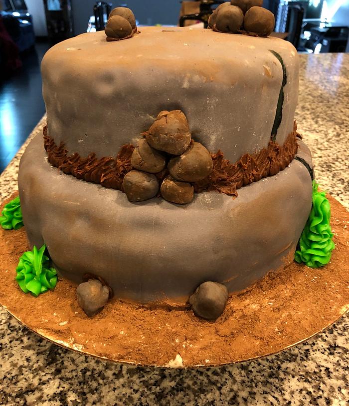 Rock Cake (how to train your dragon party theme)