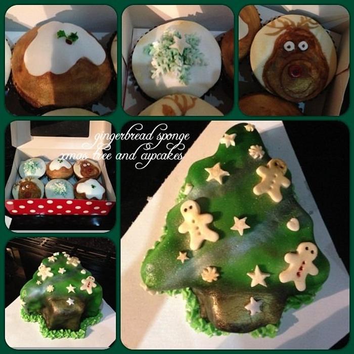 Gingerbread sponge Christmas tree cake and cupcakes. 