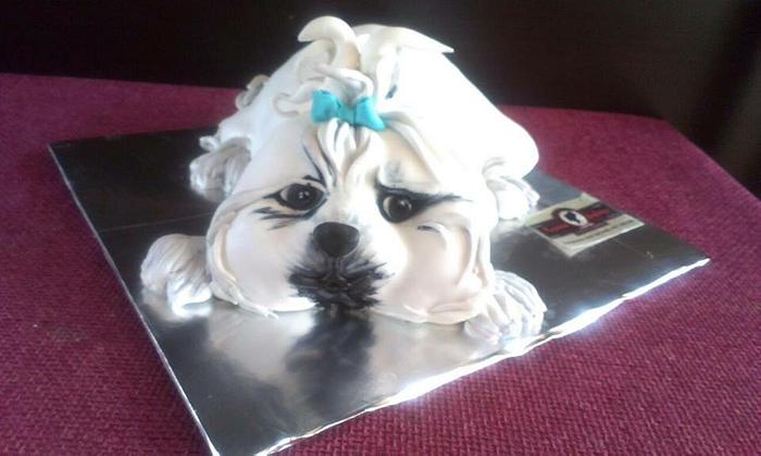 3D dog cake ❤️