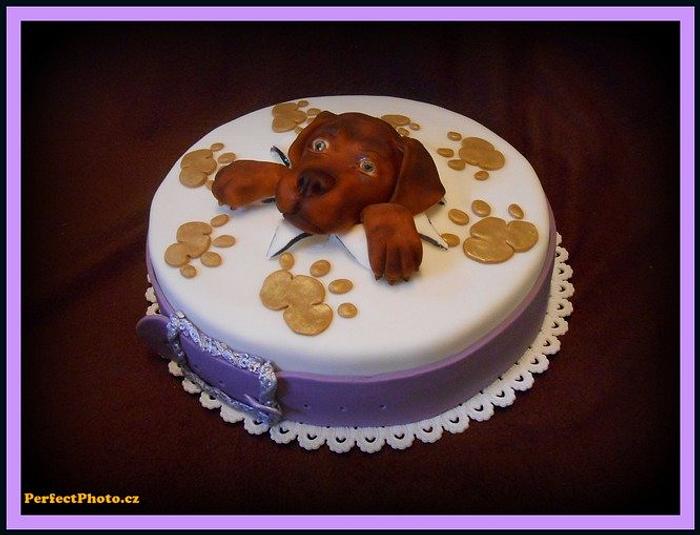 Cake with dog
