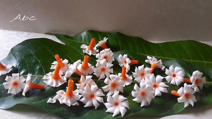 Coral Jasmines (Parijaat flowers)