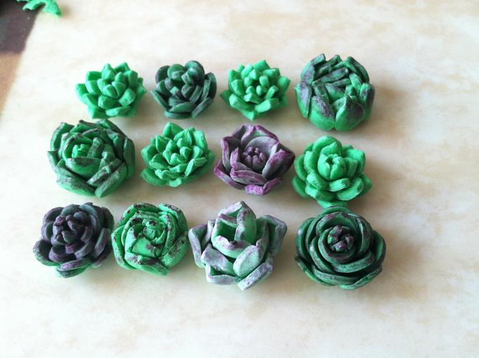 Fondant / Gumpates Succulents painted with food coloring and vodka.