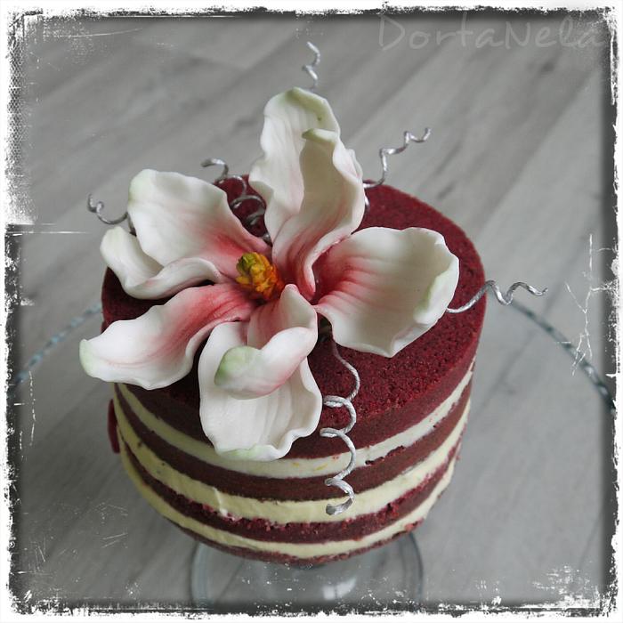 Naked Cake with Magnolia