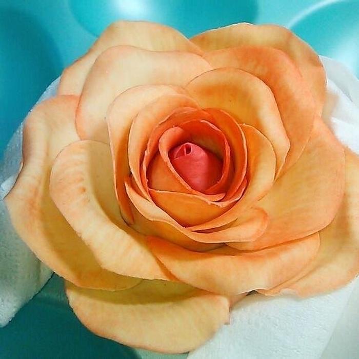 Gumpaste rose