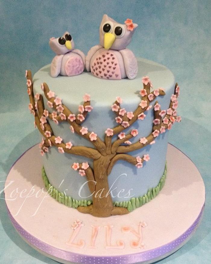 Owls and cherry blossom 
