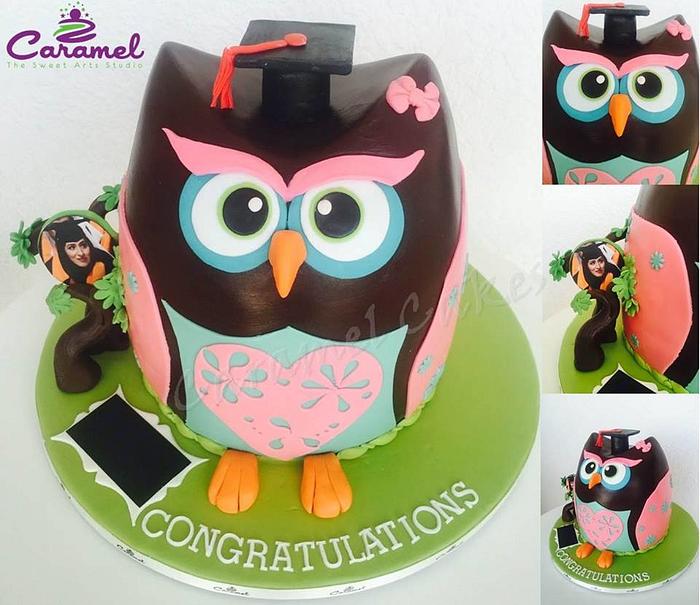 Graduation Owl Cake