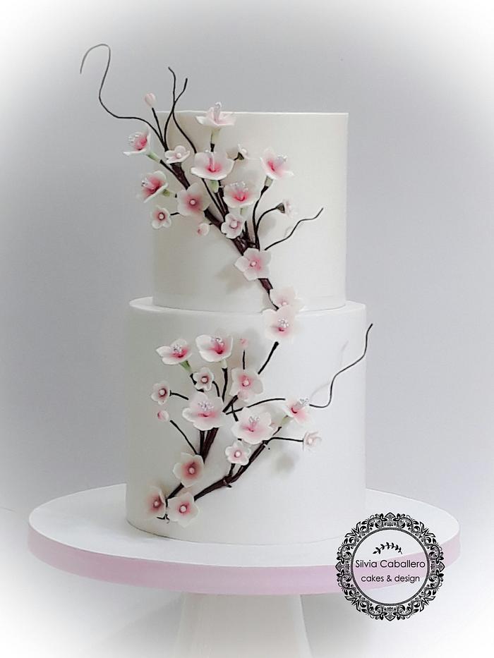 Cherry blossom cake!
