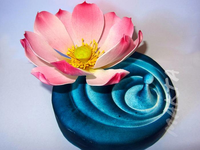 Lotus flower and water drop