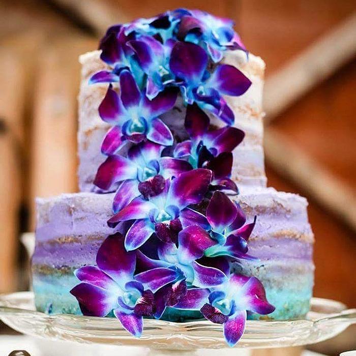 Something Blue Semi-Naked Rustic Wedding Cake 