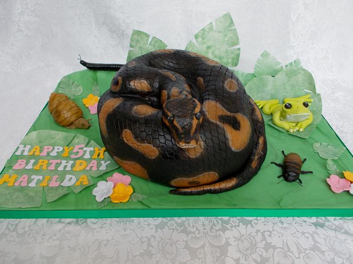 Snake and bugs!