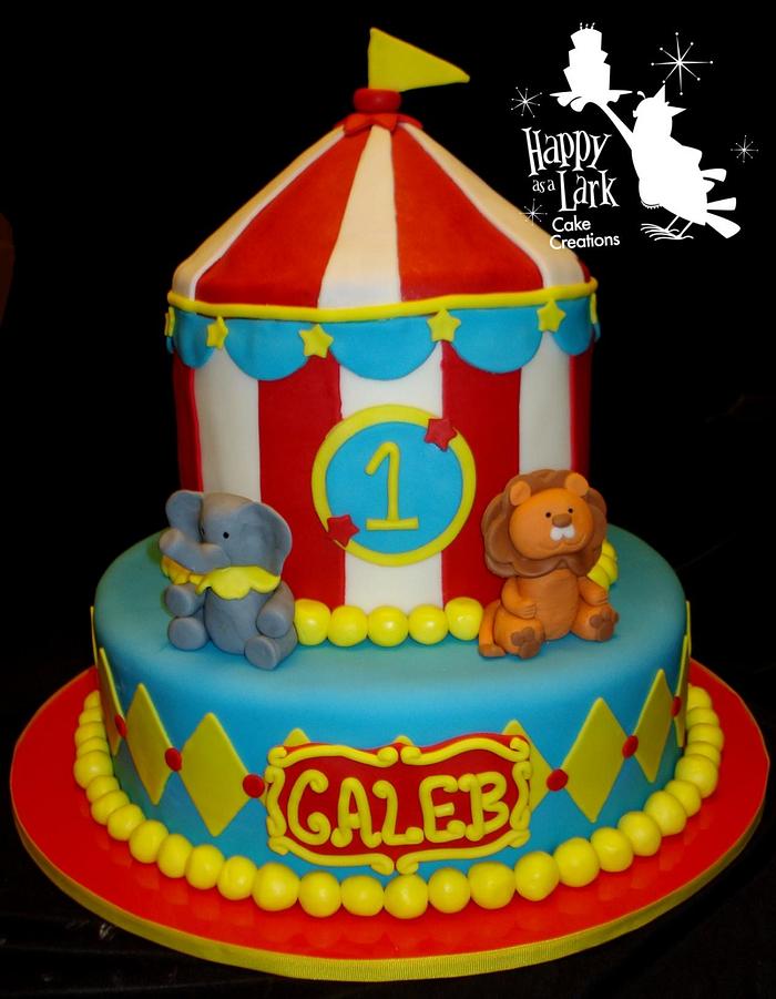 Circus themed cake