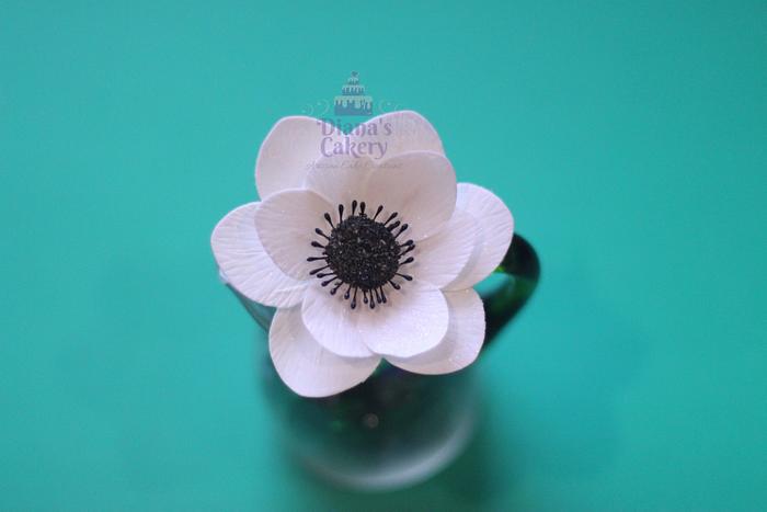 Anemone sugar flower