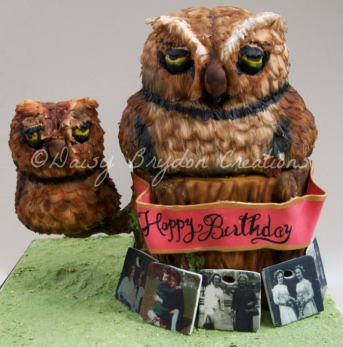 Owl cake with baby owl