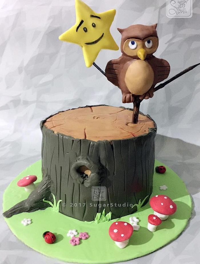 Twinkle twinkle little star Owl themed cake 