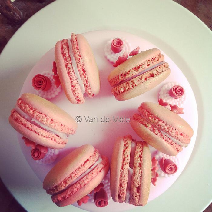 Touch of French Macaron Cake