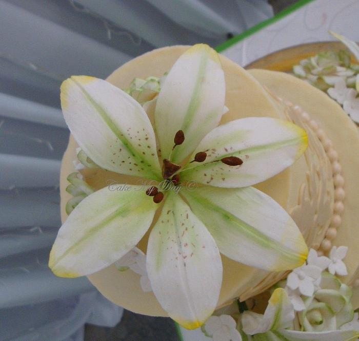 Sugar lilies and white chocolate