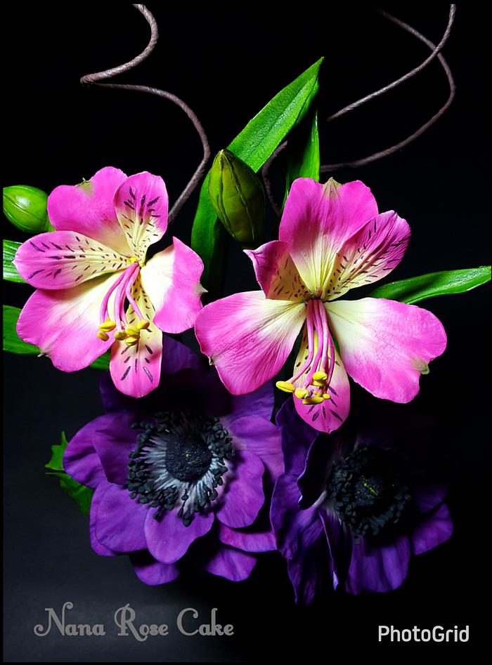 Alstroemeria flower 