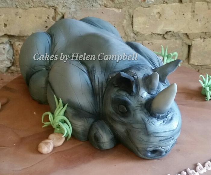 Rhino Cake for World Rhino Day | Iced Creations by Linda