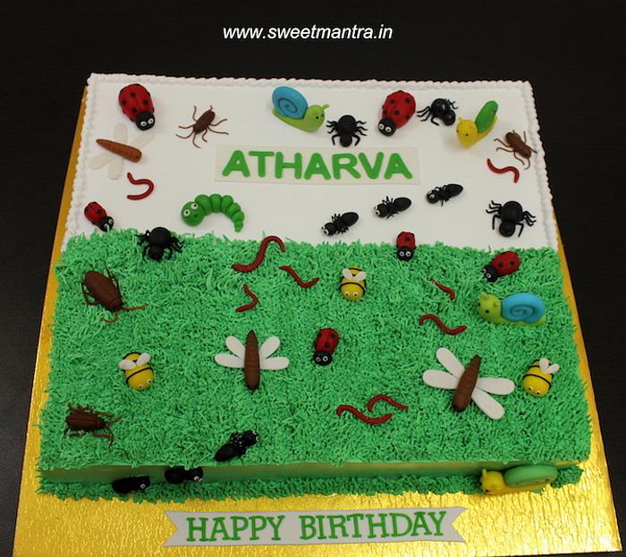 Insects cream cake