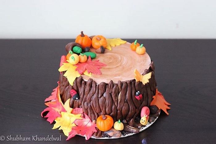Fall theme cake
